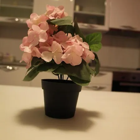 Holiday Apartments Zadar זאדאר