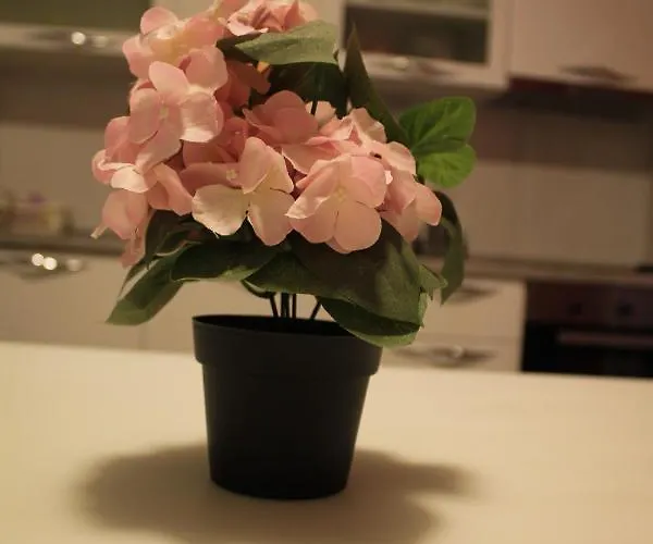 Holiday Apartments Zadar 자다르